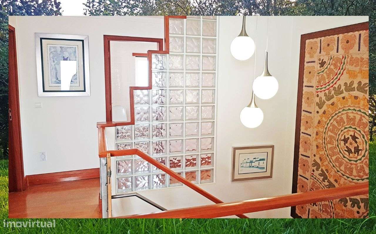 Quintinha com Mata secular-27