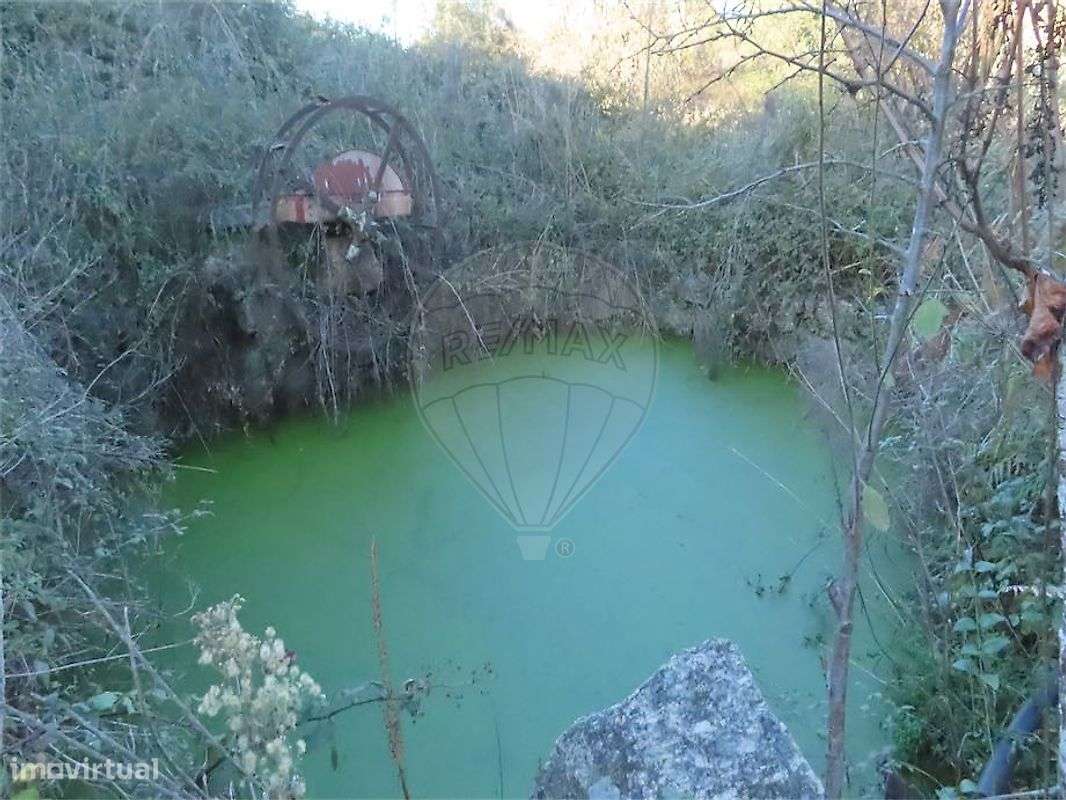 Quinta  para venda - Grande imagem: 5/20