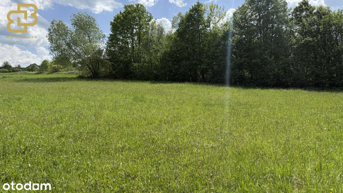 Twoja przestrzeń w naturze – działka 1,78 ha-5