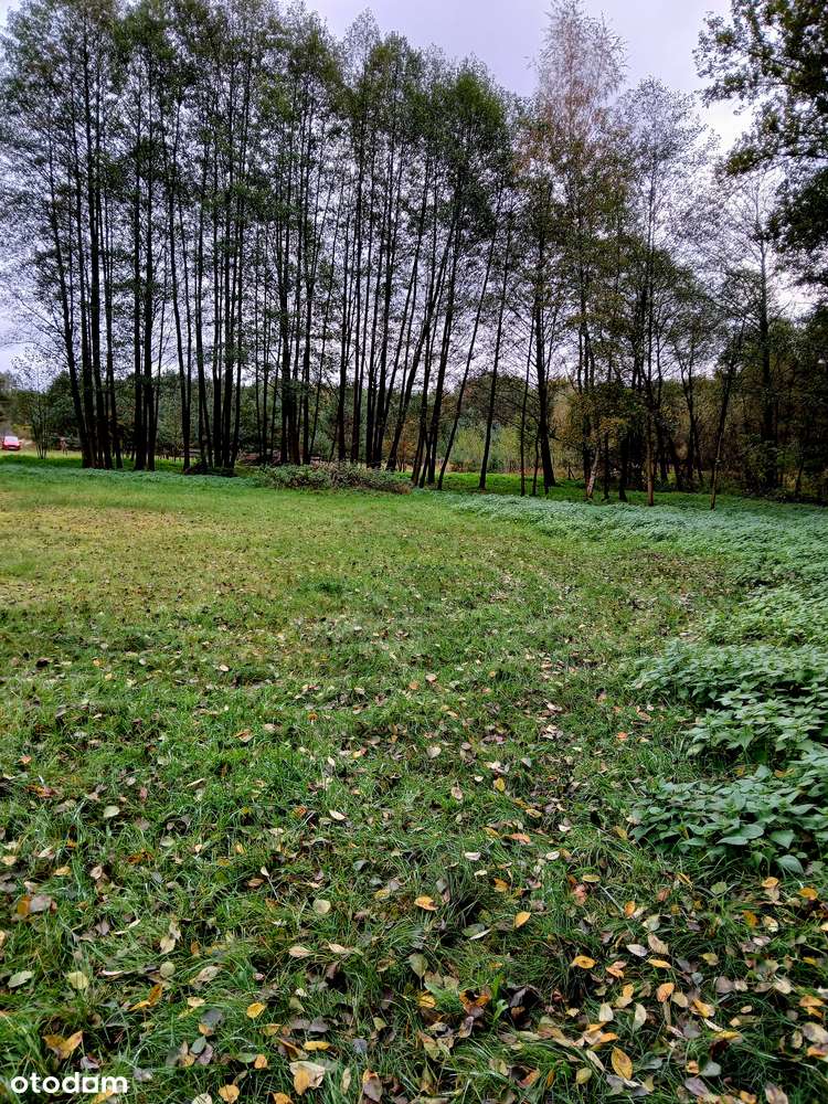 Działka rekreacyjna 2233 m² oraz 2881 m² blisko lasu - Pełny obrazek: 4/16