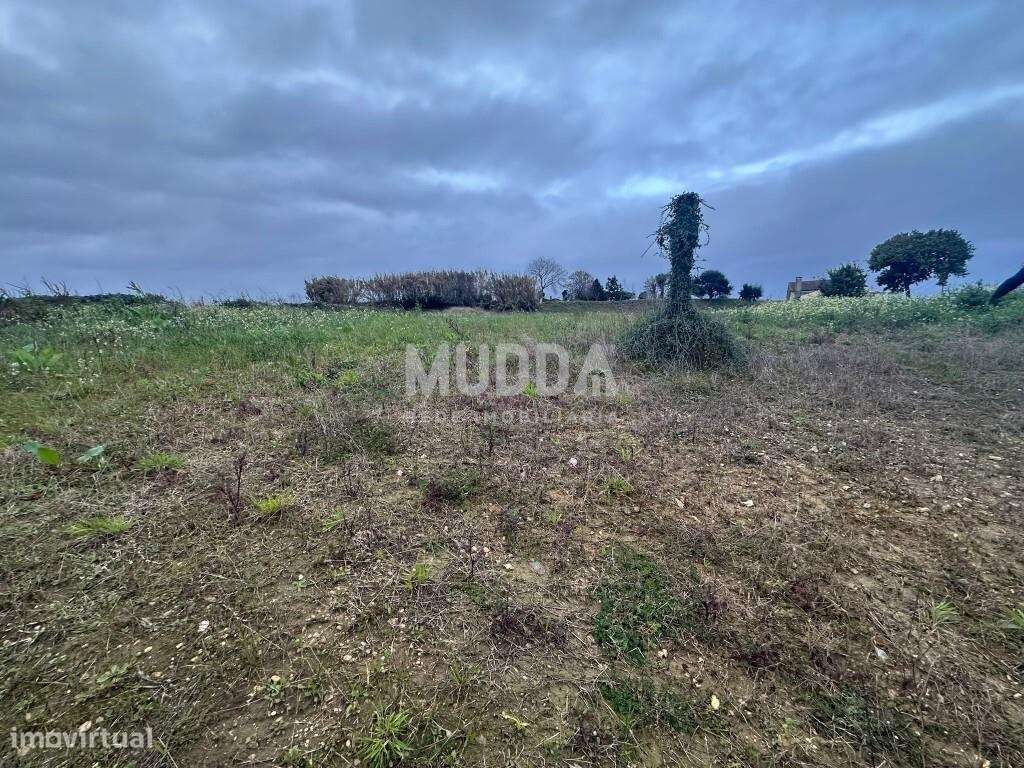 Terreno elevado com vista panorâmica desafogada, a poucos minutos d - Grande imagem: 2/7