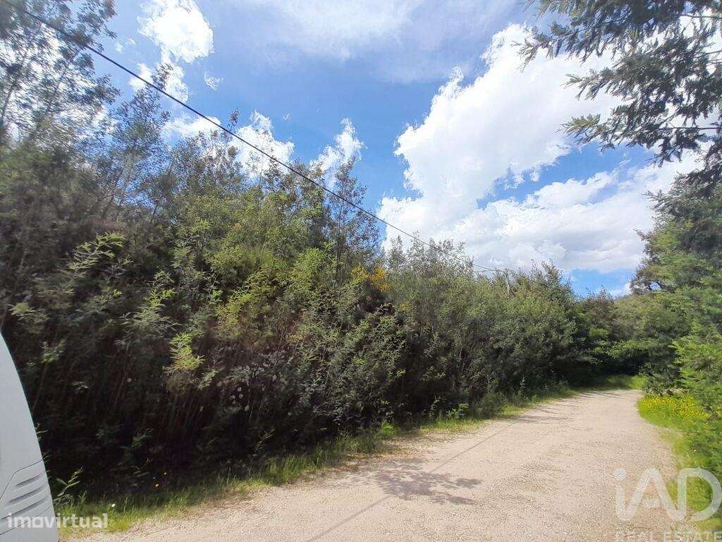 Terreno em Cortes do Meio - Grande imagem: 5/11