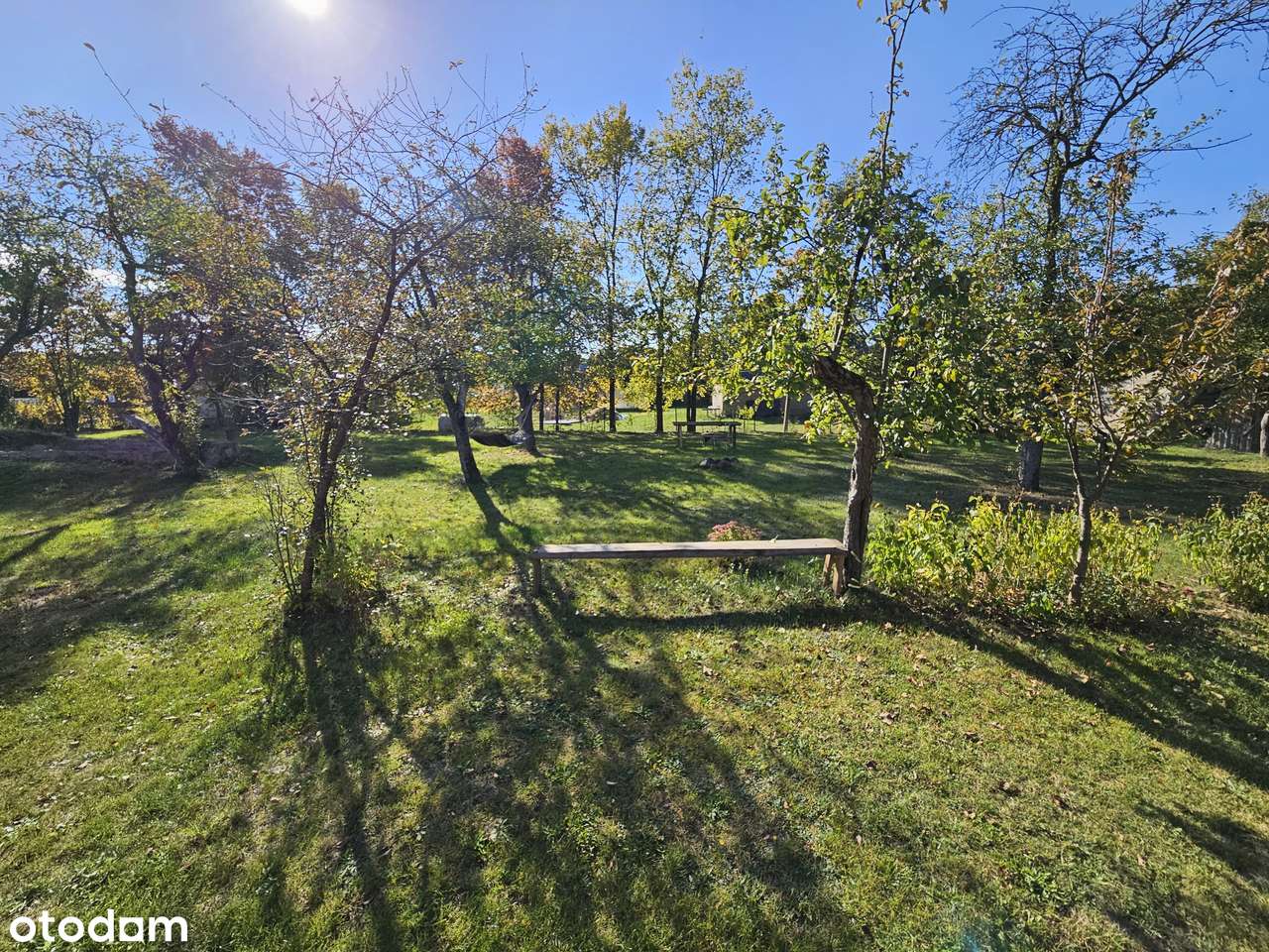 Dom z działką 2974 m2 we wśi Chytra. 2 kilometry od Hajnówki! - Pełny obrazek: 4/11