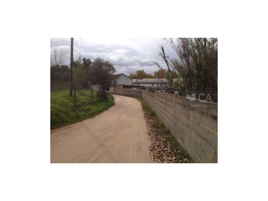 QUINTA DAS FAÇALVAS - TERRENO - Grande imagem: 3/5