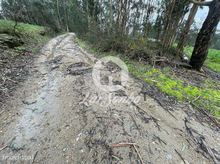 Terreno Rústico com 21.132m² em Balazar, Póvoa de Varzim - Grande imagem: 5/16