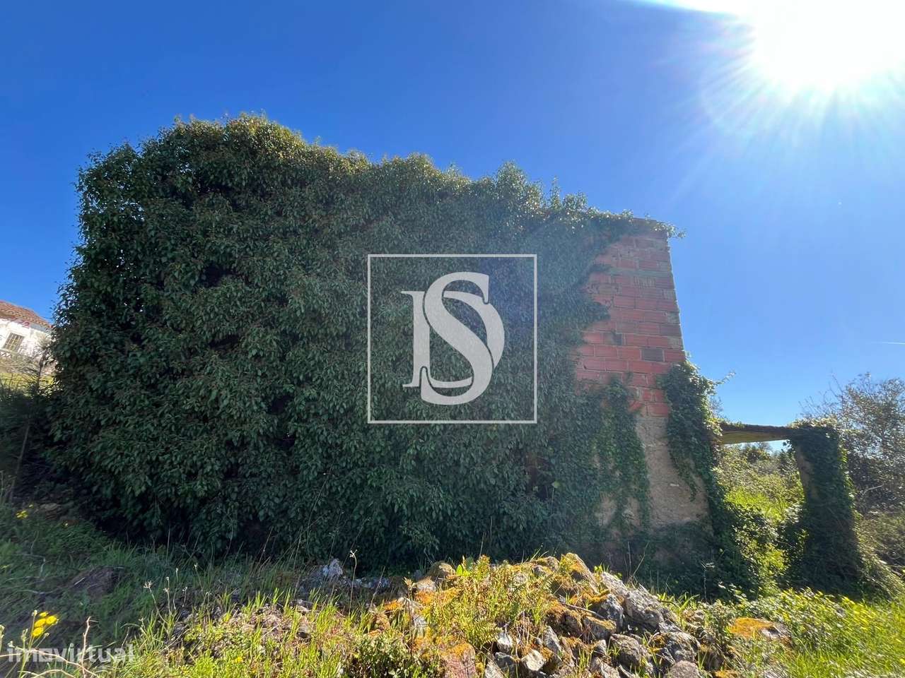 Quintinha – Sardoal - Grande imagem: 5/22