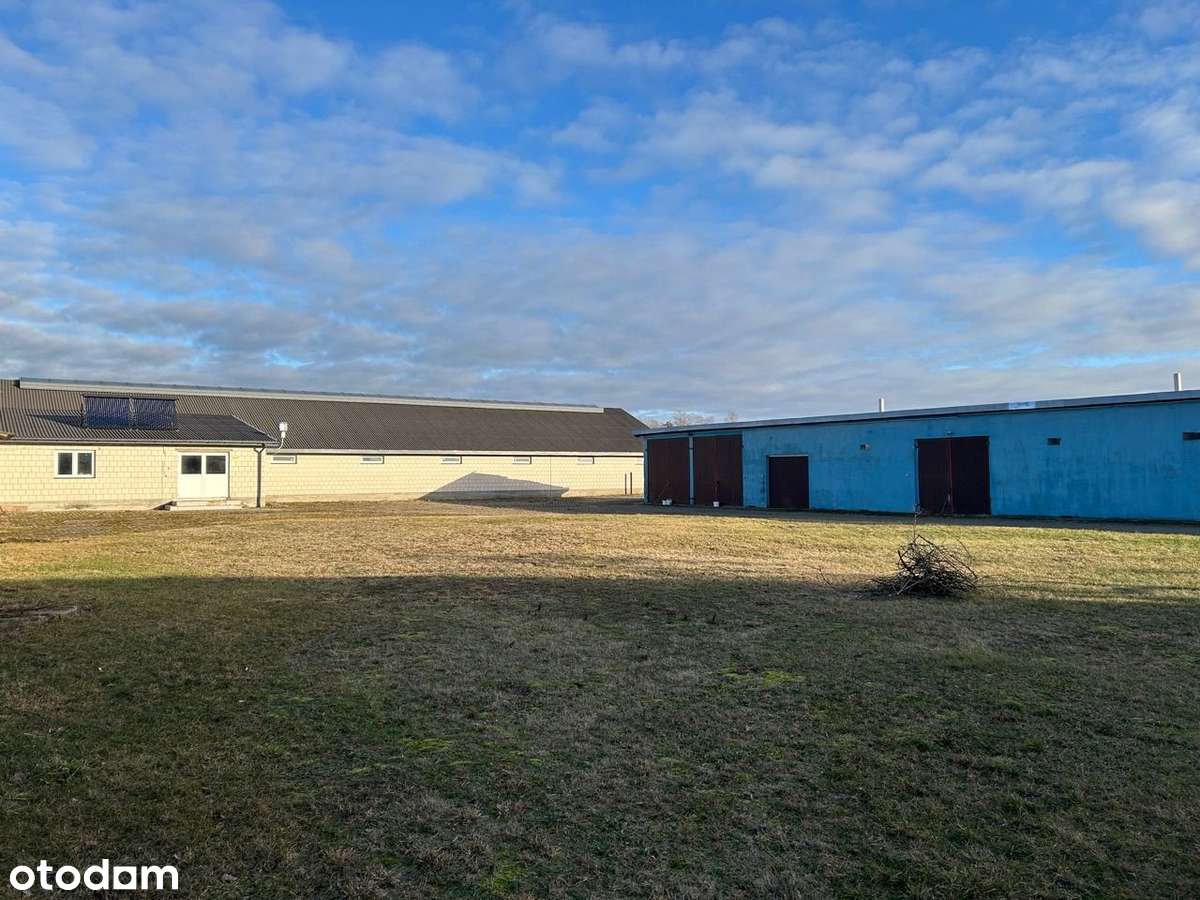 Gospodarstwo Rolne 15,8ha Ostrożne - Pełny obrazek: 5/20