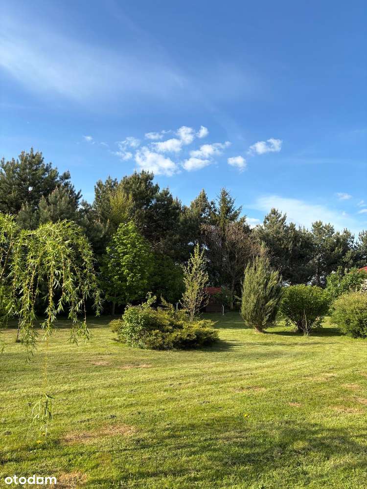 Piękne siedlisko z potencjałem w Dąbrowie 10 km od Poznania-8