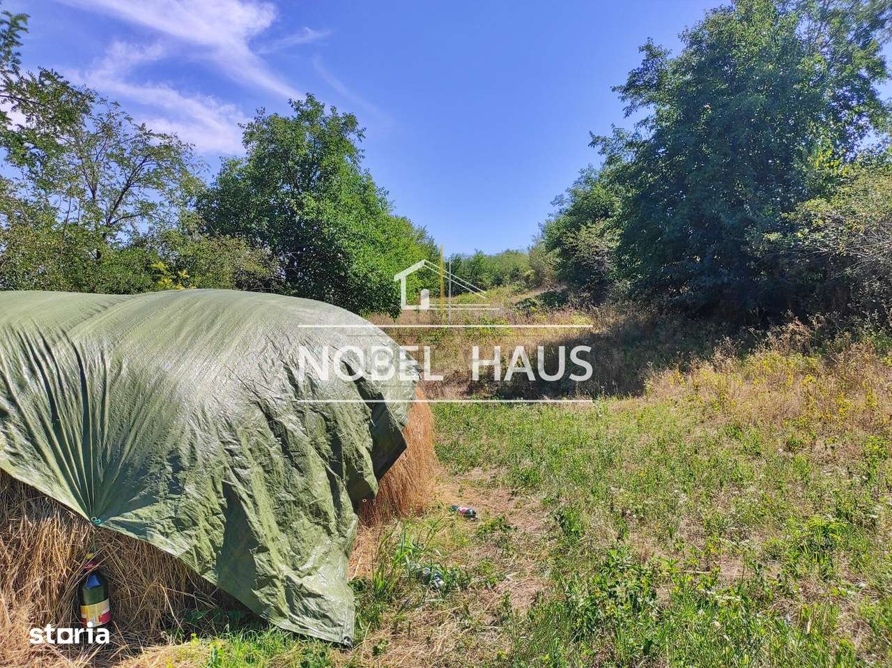 Teren 6200 mp, intravilan, sat Bogesti, comuna Pogana - Imagine principală: 3/7