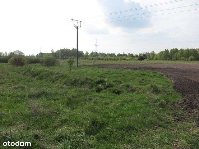 Działka, 97 900 m², Gwieździn - Pełny obrazek: 4/20