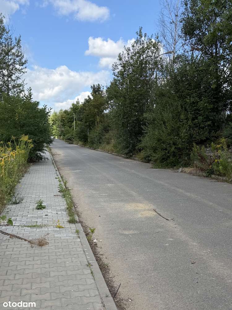 Działki pod halę/usługi/bazę transportową-cena sprzedaży netto - Widok 3