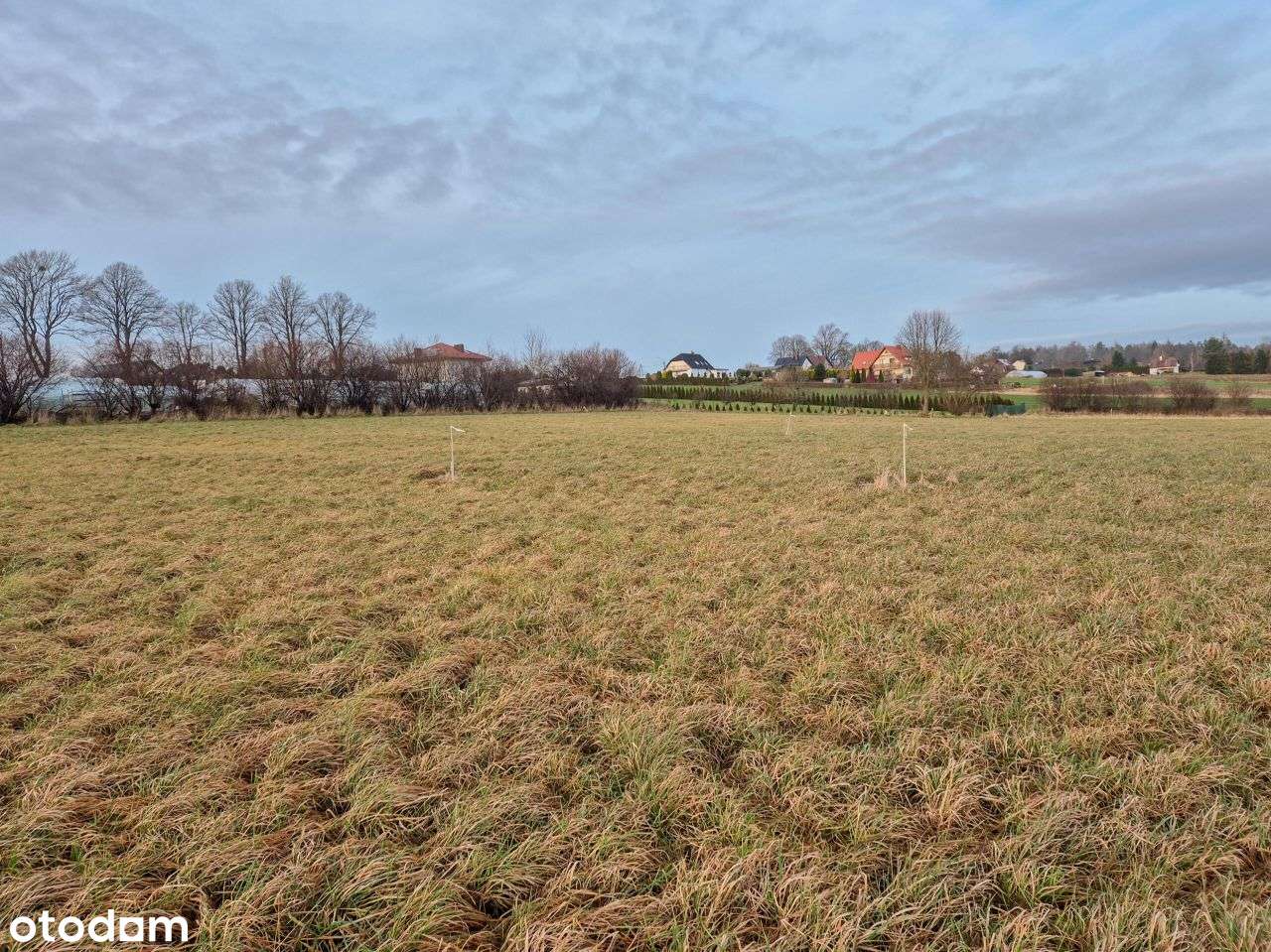 Działka, 1 336 m², Rybno-8