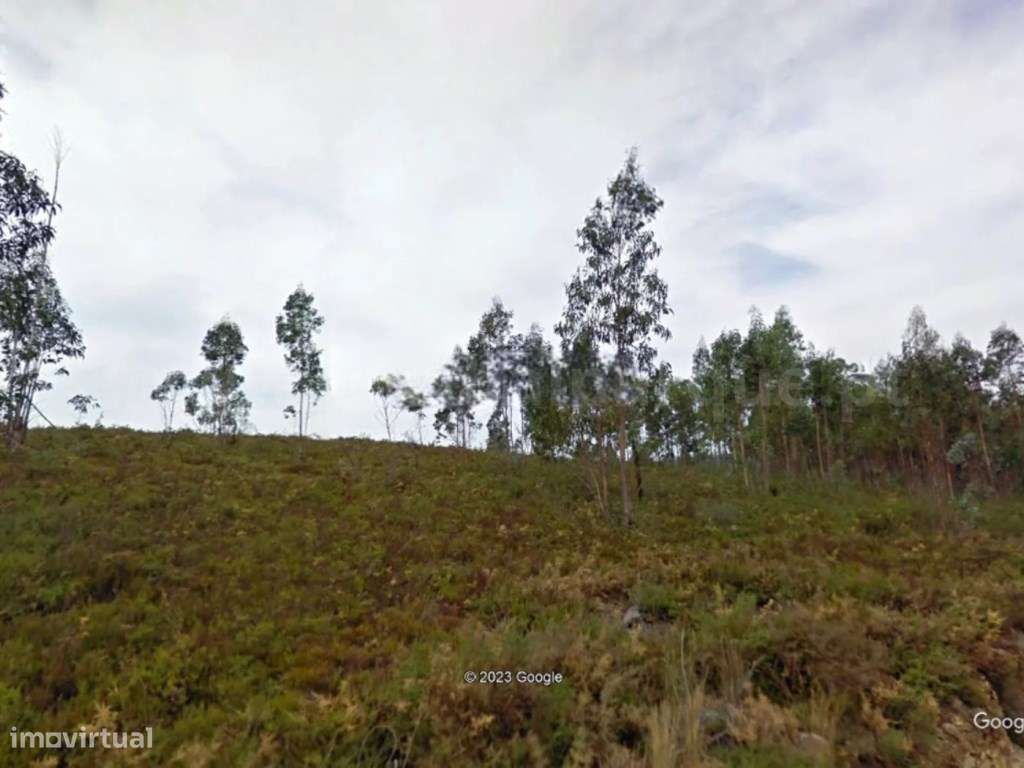 Terreno rústico para venda, Melres-7