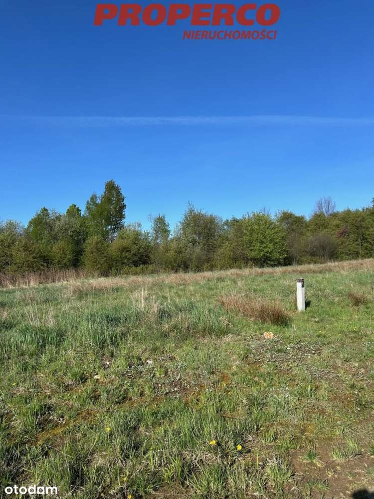 Działka pow. 478 m2, Kielce, Dąbrowa - Pełny obrazek: 5/5