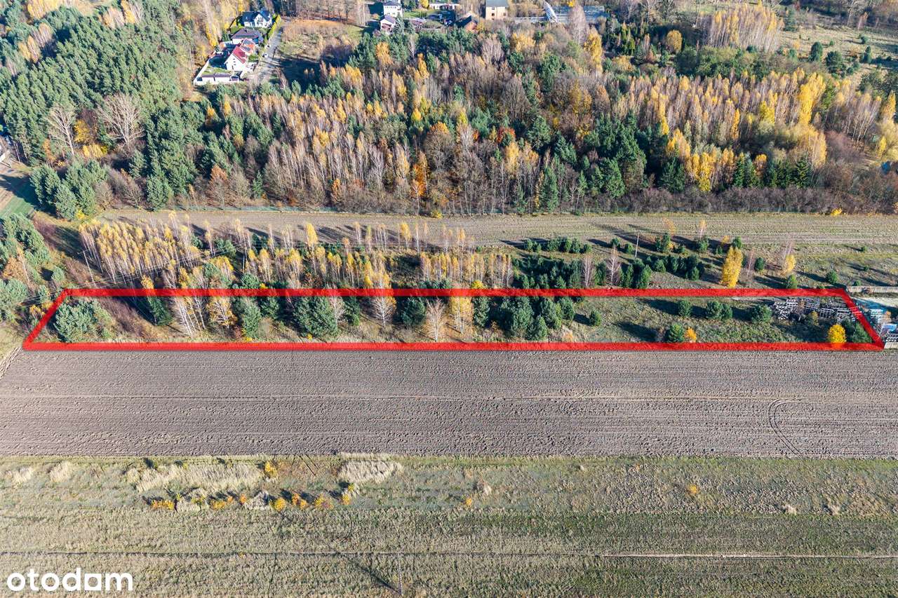 Działki budowlane w Jadwininie, gmina Pabianice - Pełny obrazek: 5/5