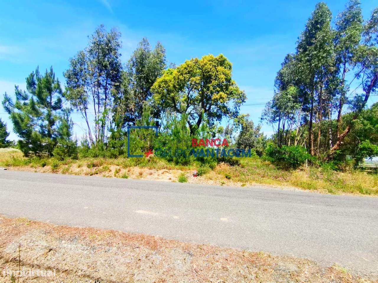 Terreno Rústico em Lapa - Grande imagem: 2/12