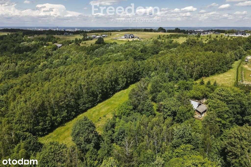 Działka 62,87 ar z zabudowaniami przy lesie-2