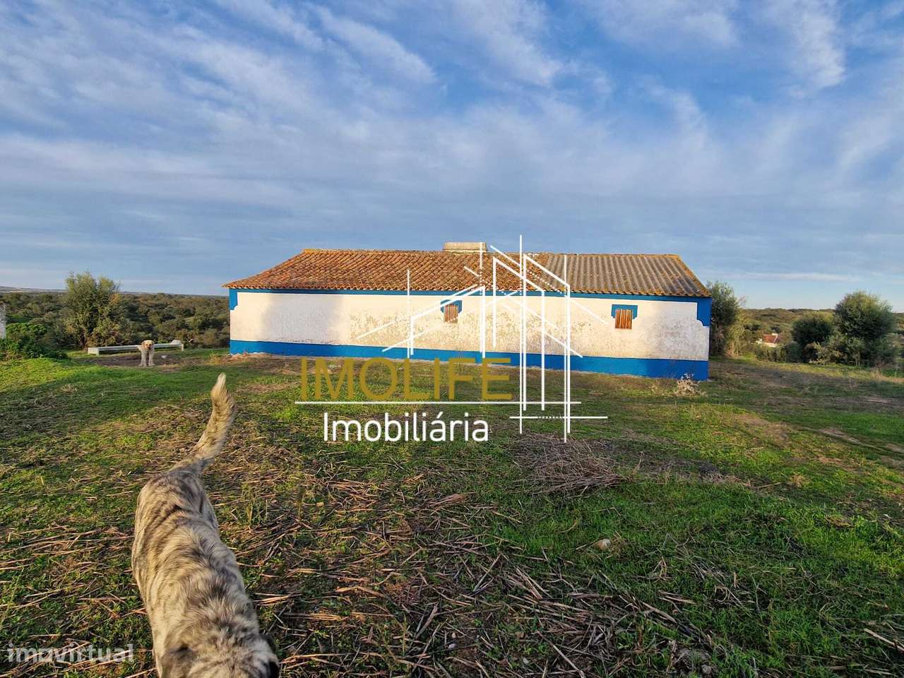 Monte Courela da Boavista - Tesas - Malarranha-14