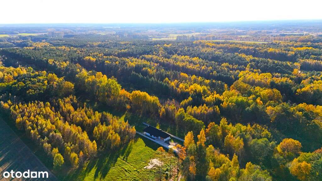 Dom parterowy  146,12 m² / stan deweloperski-8