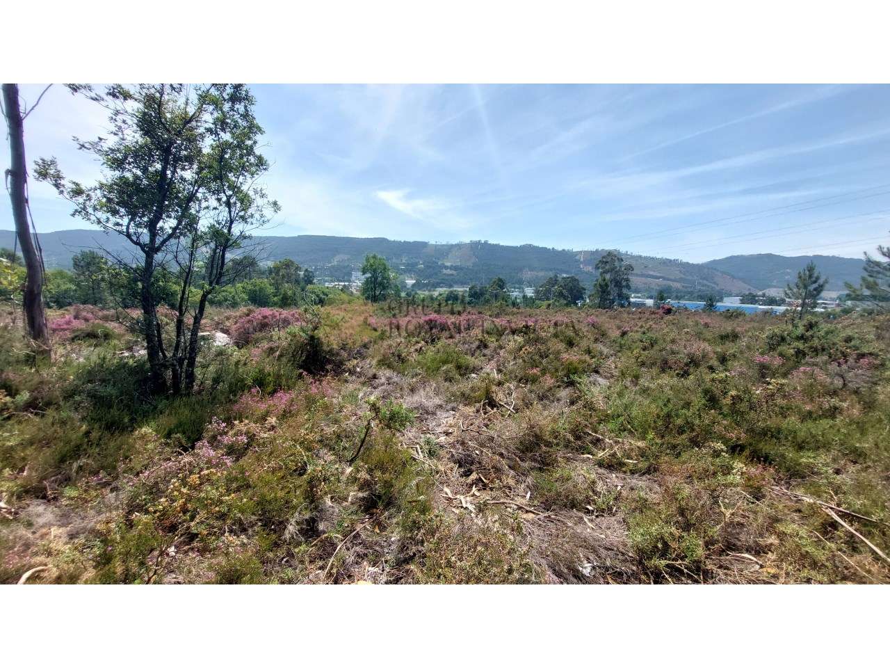 Terreno Industrial- Zona Industrial de Campo (Valongo) - Grande imagem: 3/12