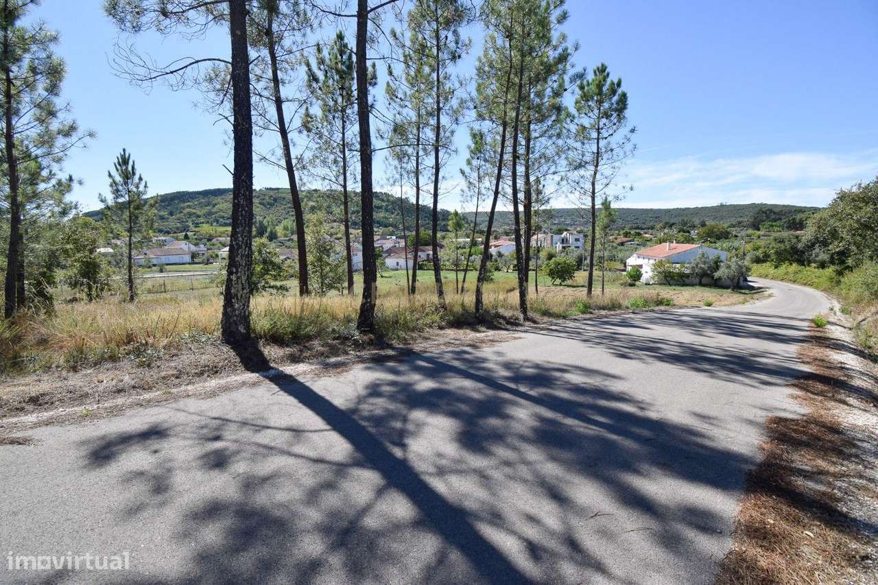 Terreno com 3720 m2 com viabilidade de construção em Chão de Couce, An - Grande imagem: 5/11