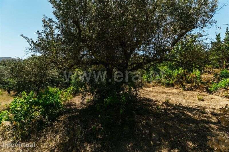Terreno / Fundão, Carvalhal - Grande imagem: 3/3
