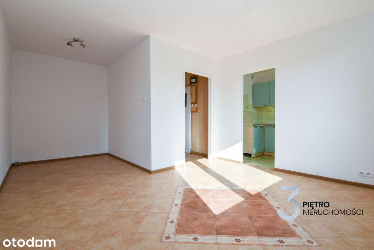 Słoneczne w spokojnej dzielnicy! Wolne od zaraz!-3