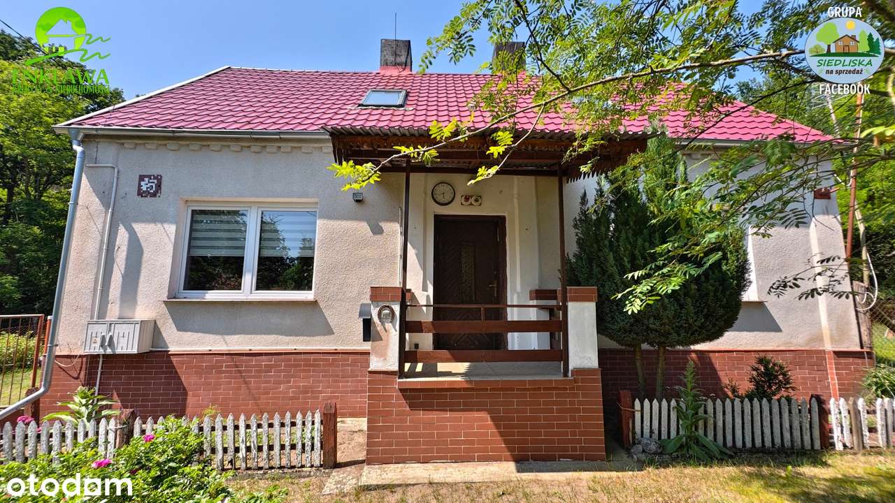 ENKLAWA prezentuje: LEŚNICZÓWKA niedaleko Krosna Odrzańskiego! CUDO!-6