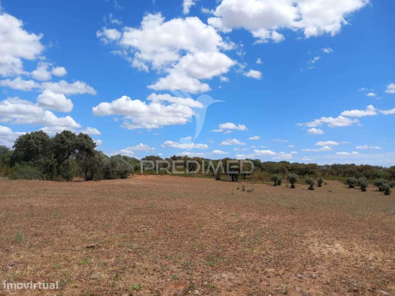 TERRENO COM 5,675 (Ha) - Grande imagem: 4/13