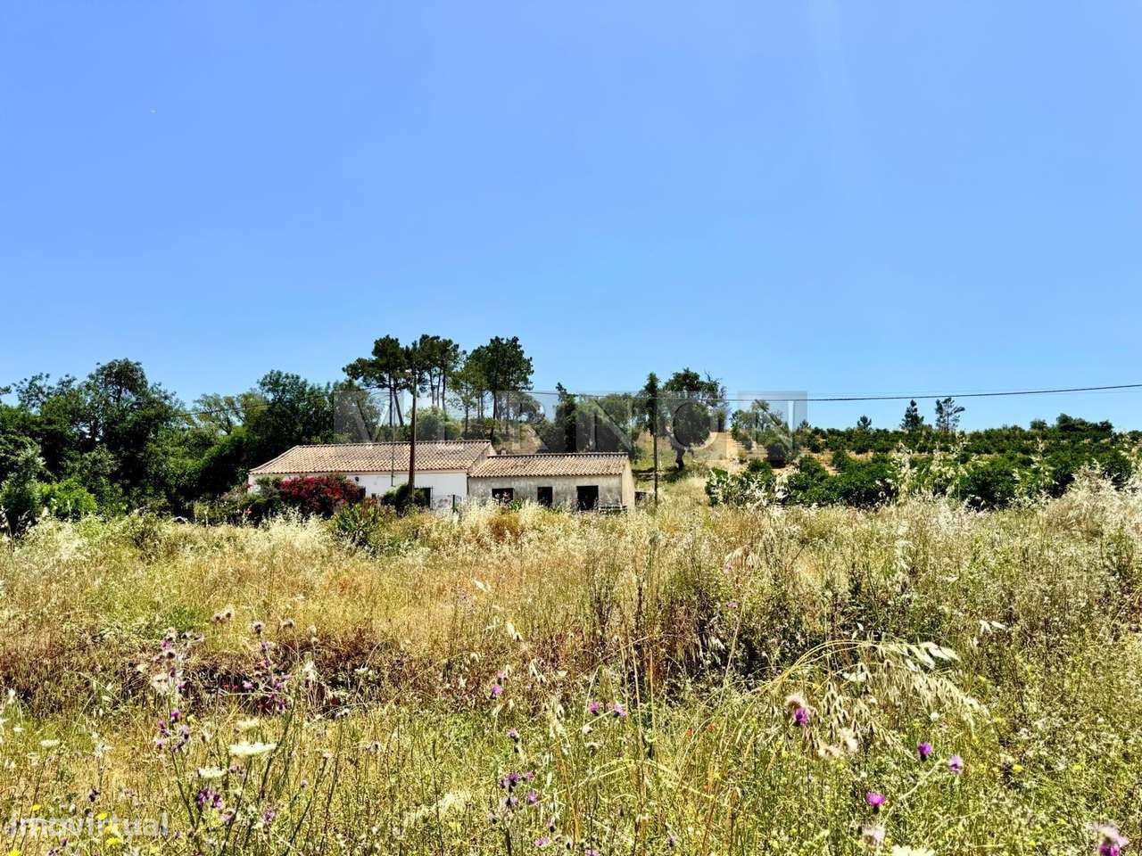 Algarve, para venda, terreno com ruina, em zona calma no Sobral em Por - Grande imagem: 2/16
