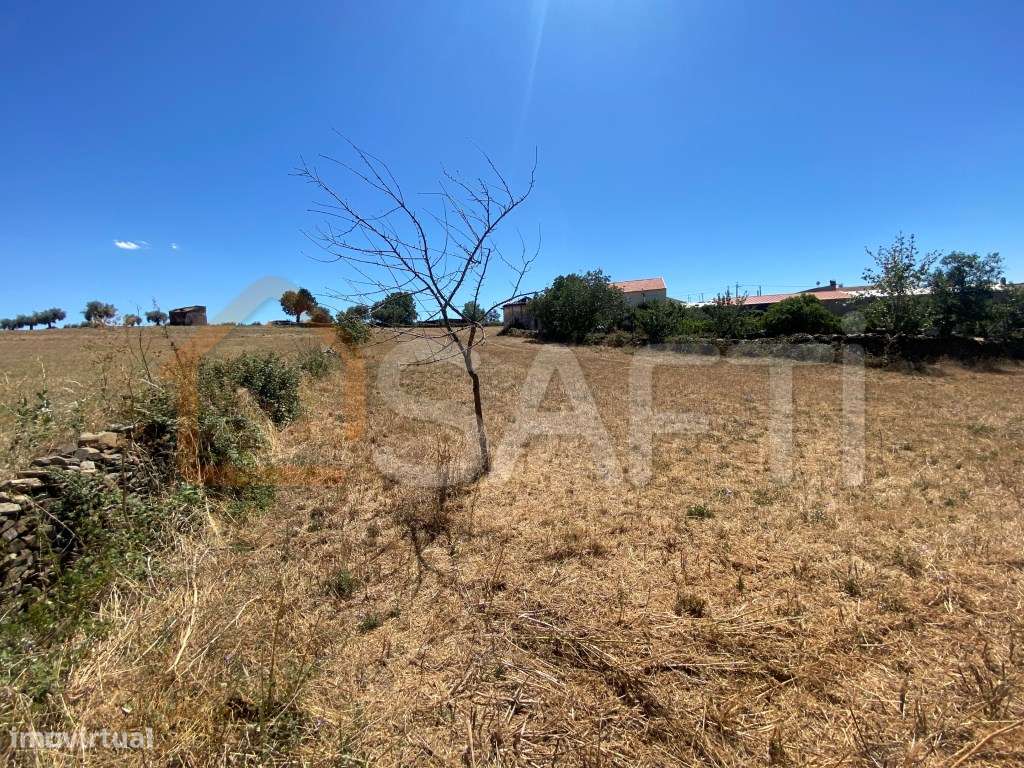 Terreno Urbano em Izeda - Grande imagem: 4/9
