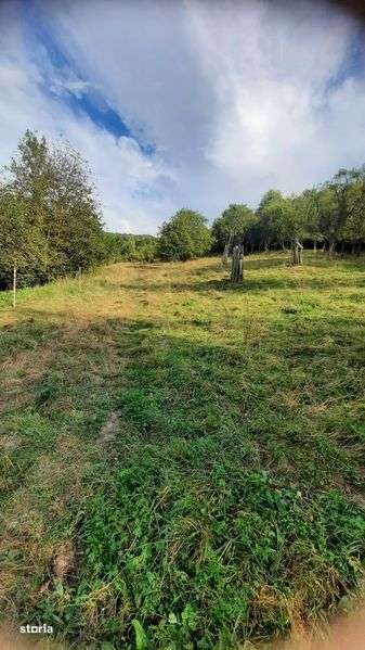 Casa si gradina de vanzare - Imagine principală: 4/8