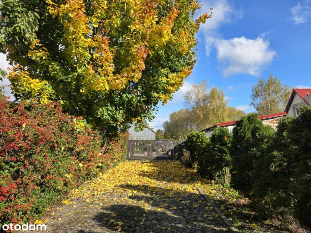 Dom z oranżerią i widokiem na staw – Recz, ul. Srebrna - Pełny obrazek: 5/20