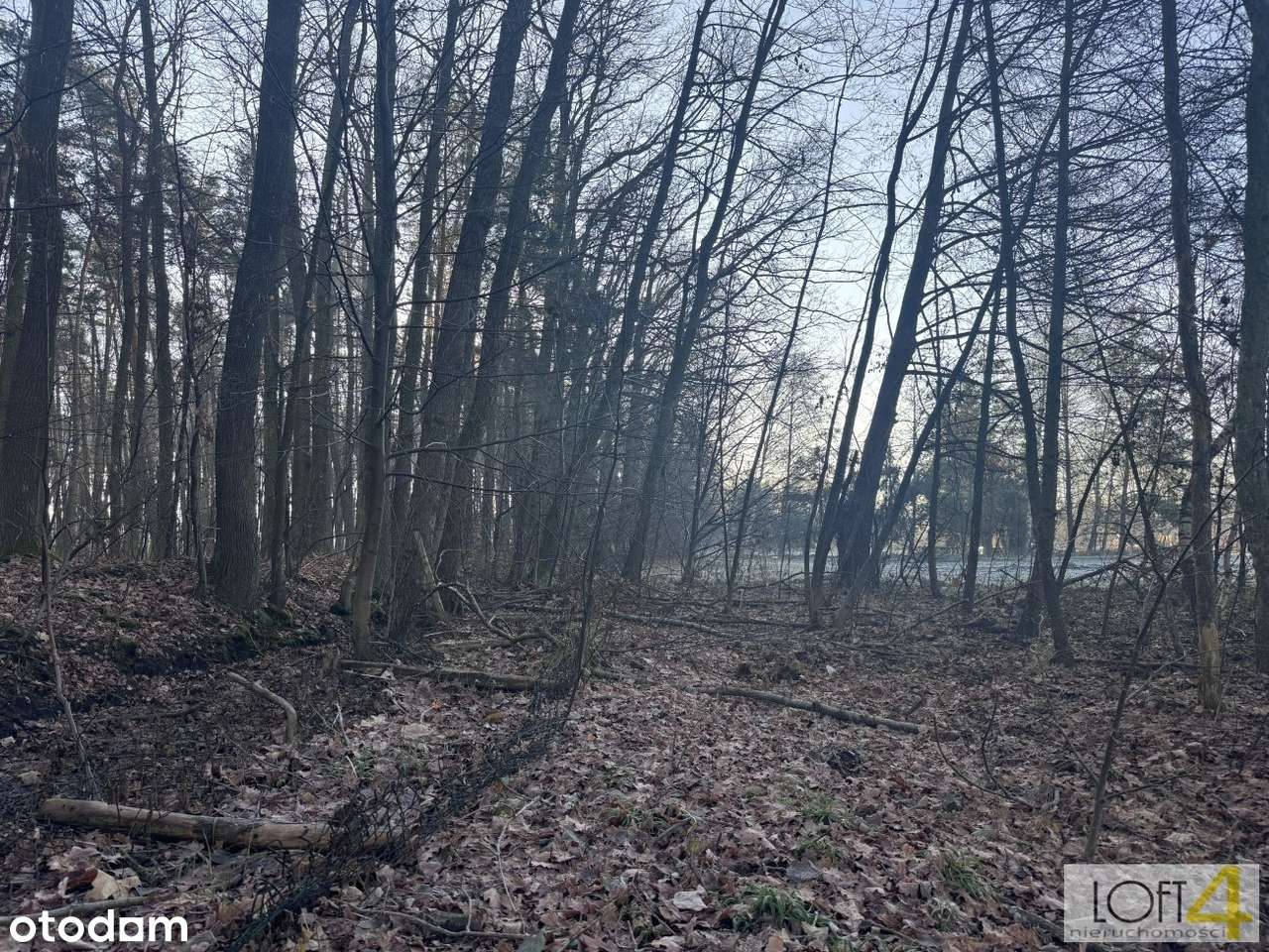 Wyjątkowa, uzbrojona działka pod lasem.-7