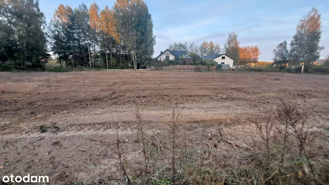 atrakcyjna Halickie media - Pełny obrazek: 4/8