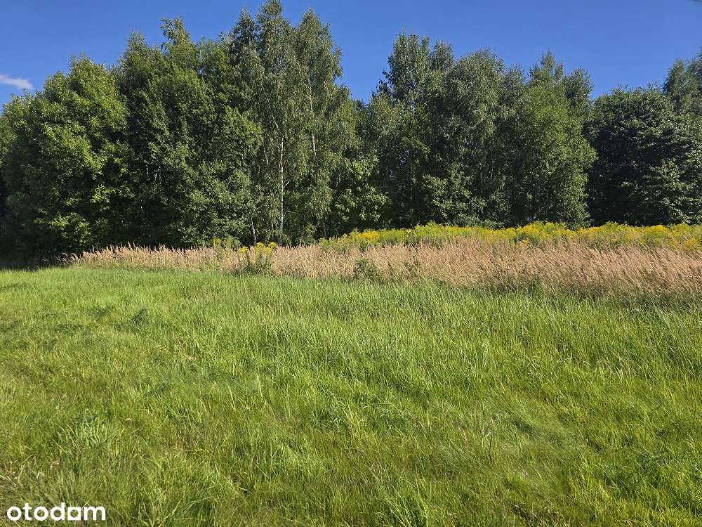 grunty rolne na sprzedaż, Bratków, Gmina Bogatynia-5