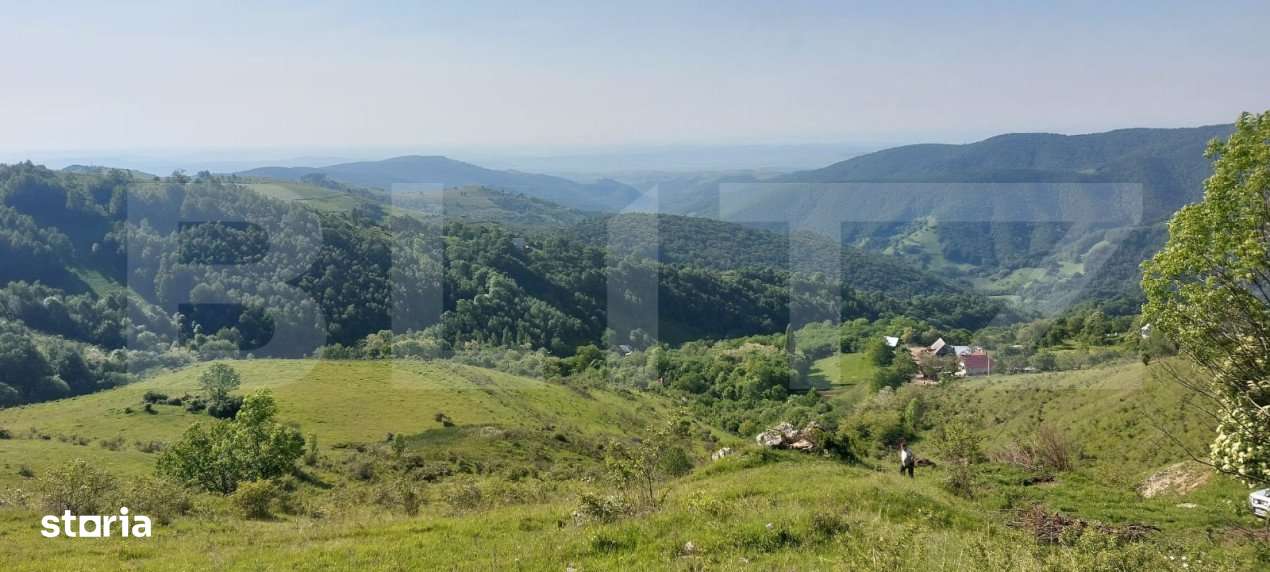 Teren extravilan pentru cabana, 3800 mp, zona-Ramet Transapuseana - Imagine principală: 2/4