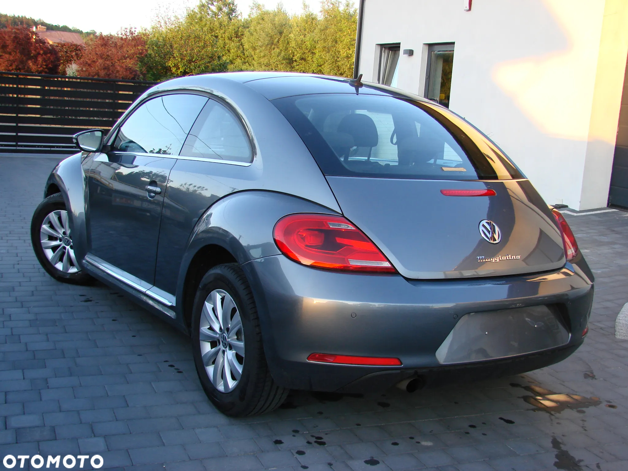 Volkswagen Beetle - 11