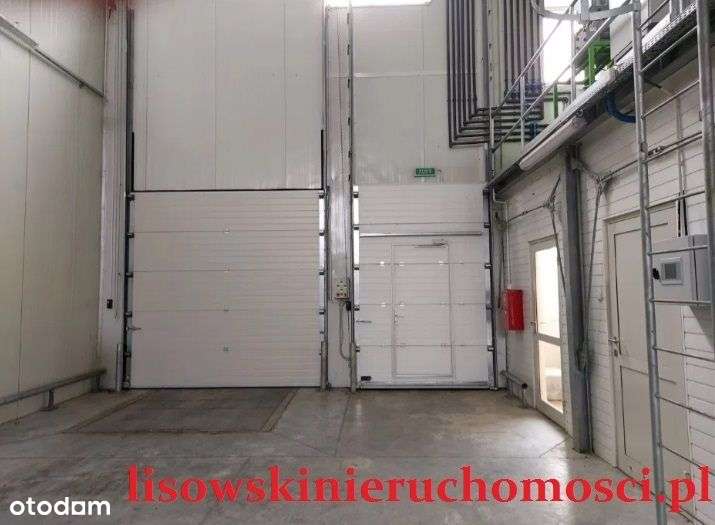 Chłodnia 1250m2, Stemplew - Pełny obrazek: 5/11