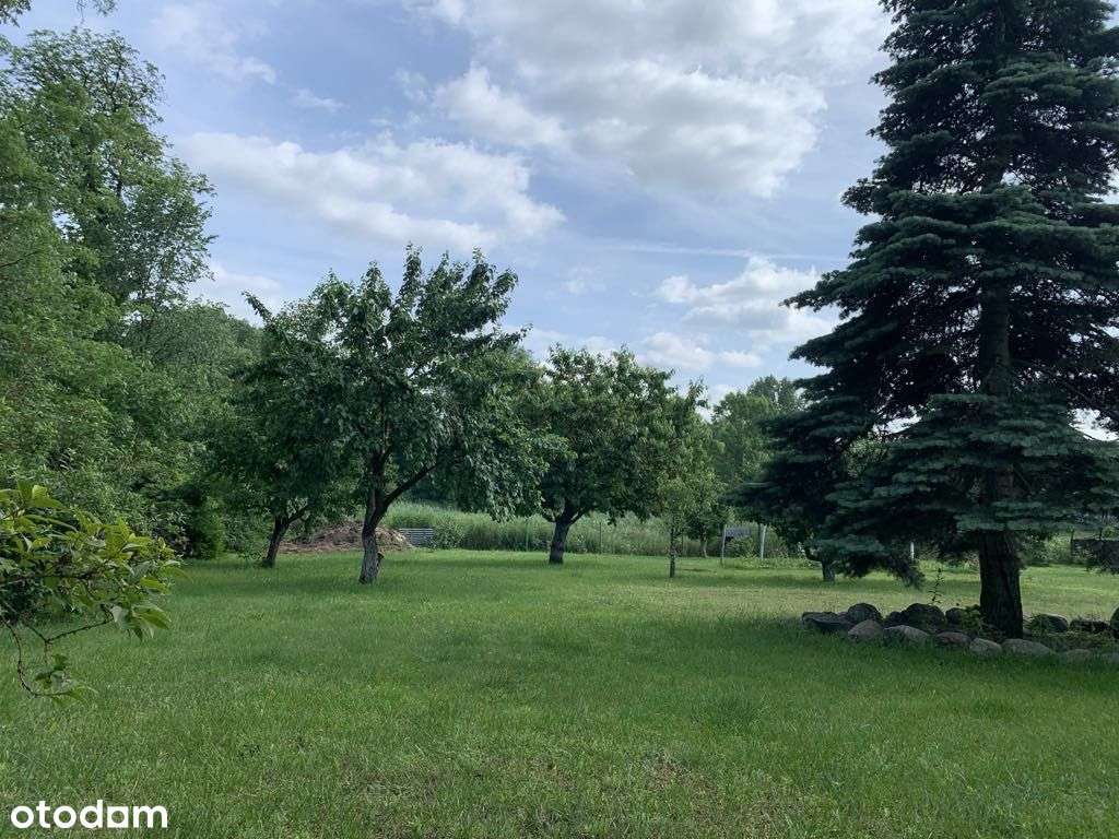 duży dom w centrum Izbicy Kujawskiej woj Kuj-Pomor - Pełny obrazek: 2/20