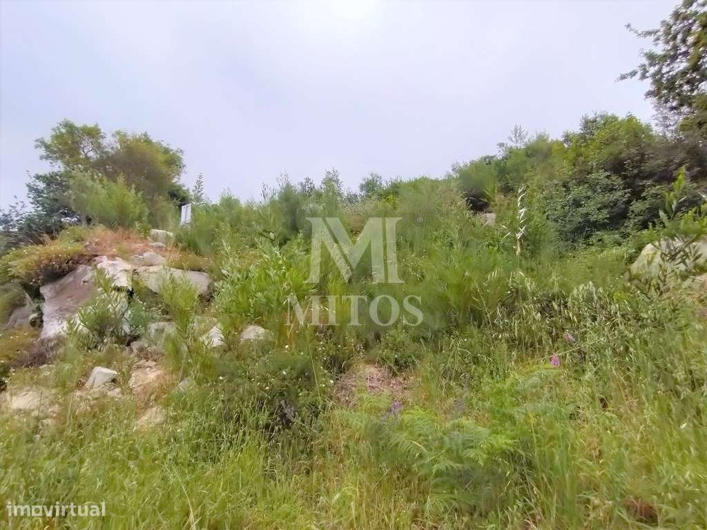 Lotes para construção a venda em Âncora - Grande imagem: 3/13