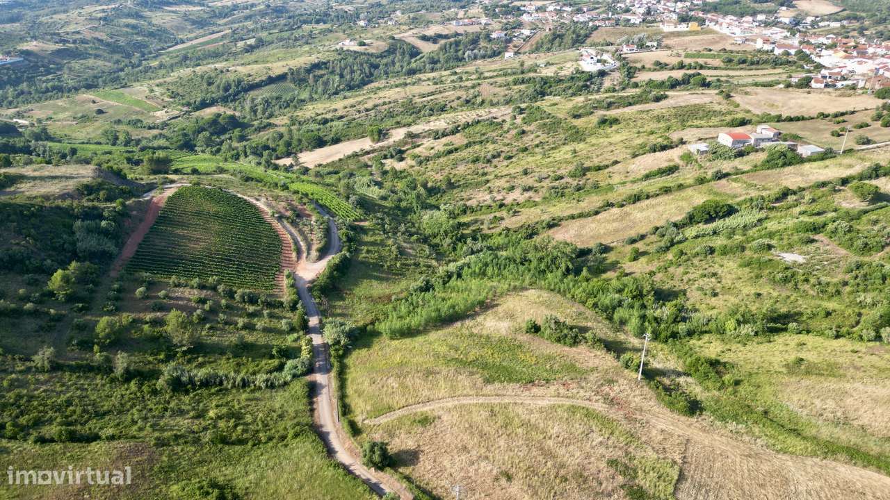 Moradia com terreno e árvores de fruto a 40mn de Lisboa-55