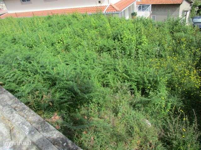 Quintinha em Roriz-17