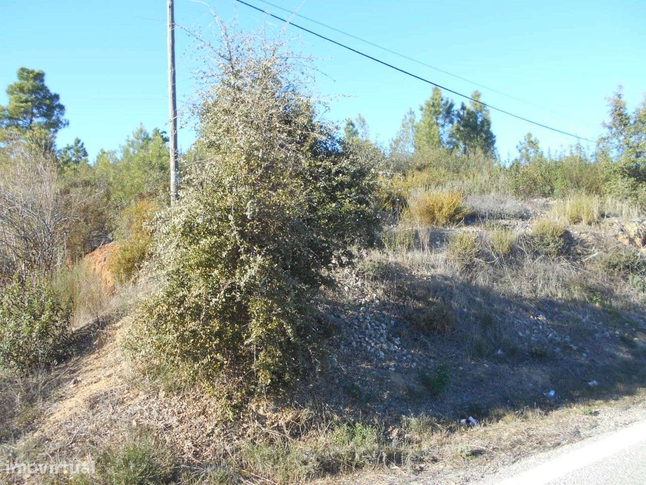 Terreno - Grande imagem: 4/7