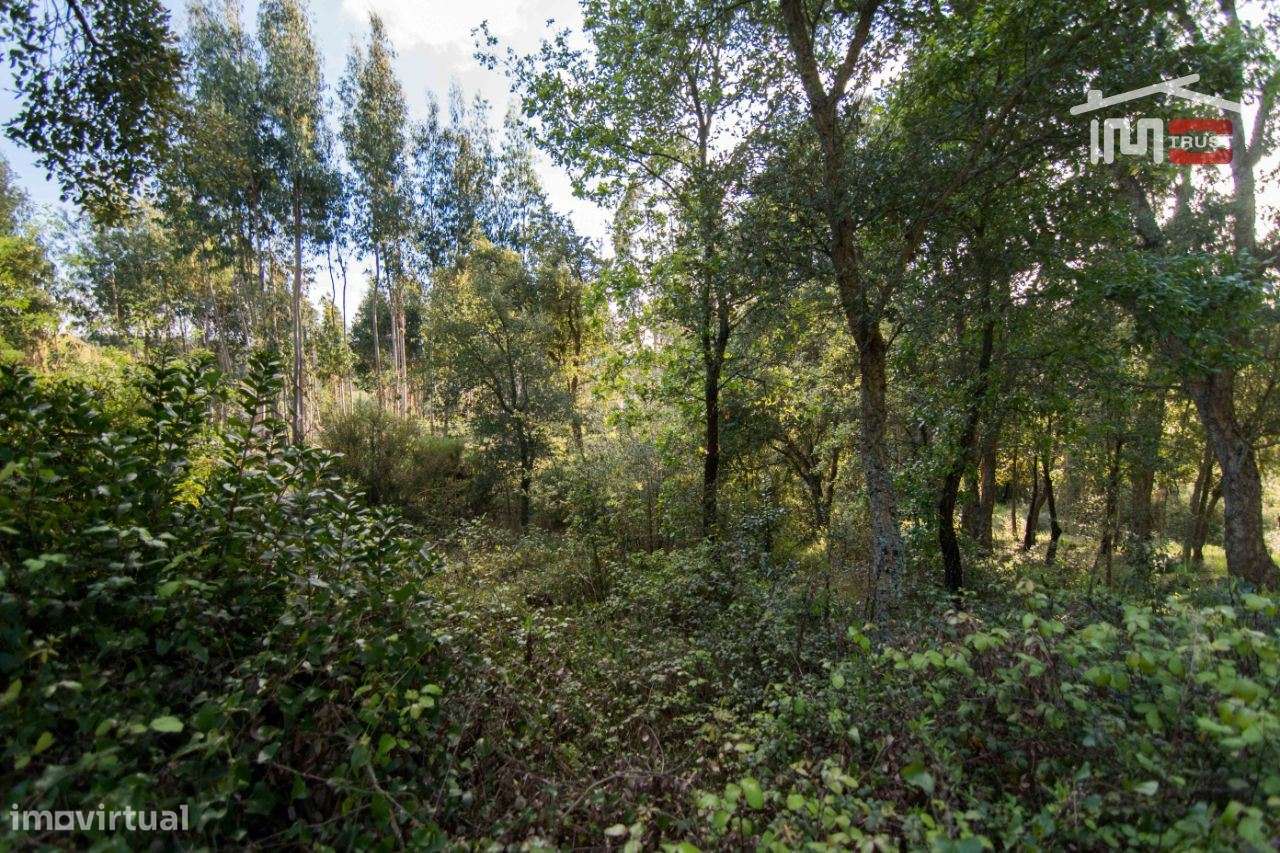 Terreno para construção, de moradia. - Grande imagem: 4/5