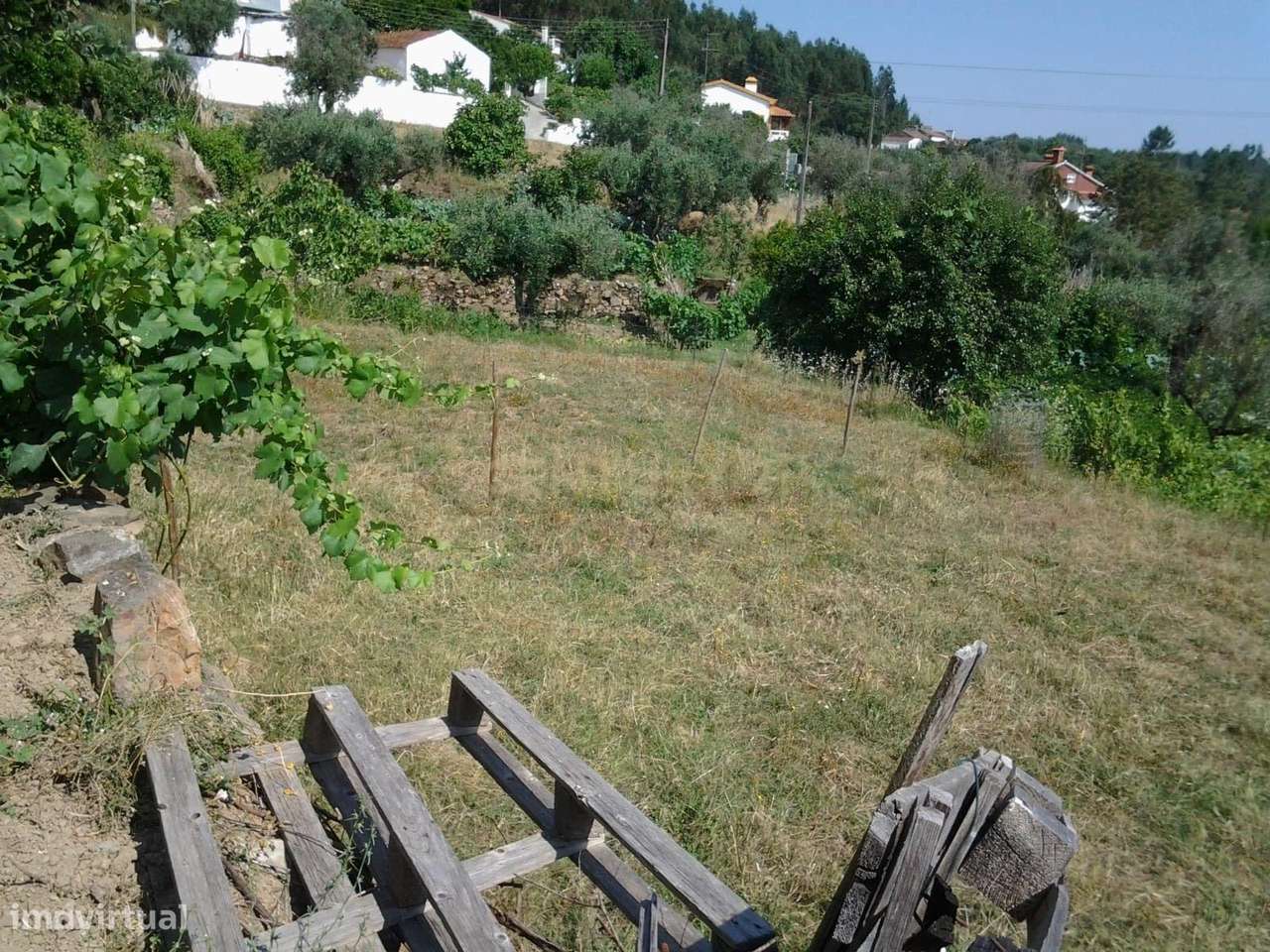 Ruína com Potencial em Sardoal, Santarém - Grande imagem: 5/16