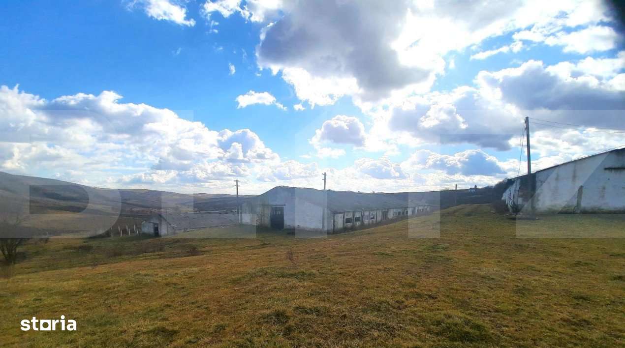 Ferma in intravilanul comunei Cojocna, 5 Ha cu hale - Imagine principală: 2/9