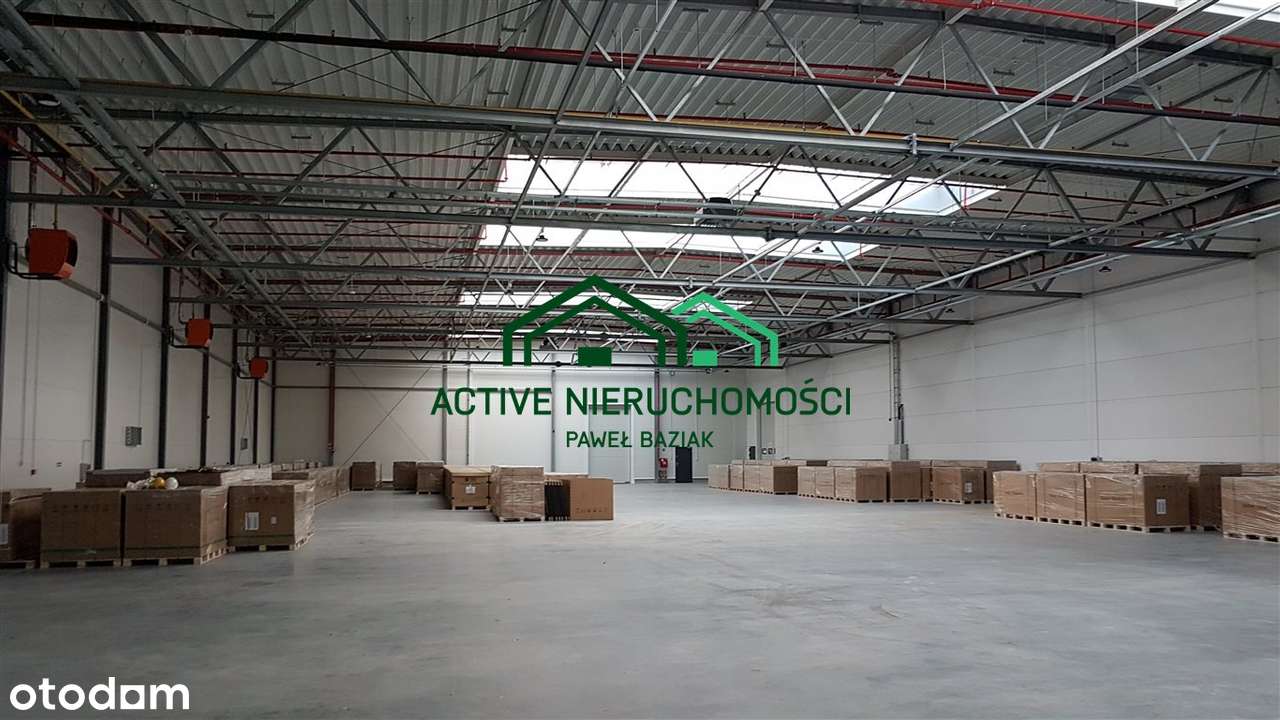 Hala, magazyn, 1950m2, Niepołomice - Pełny obrazek: 4/8