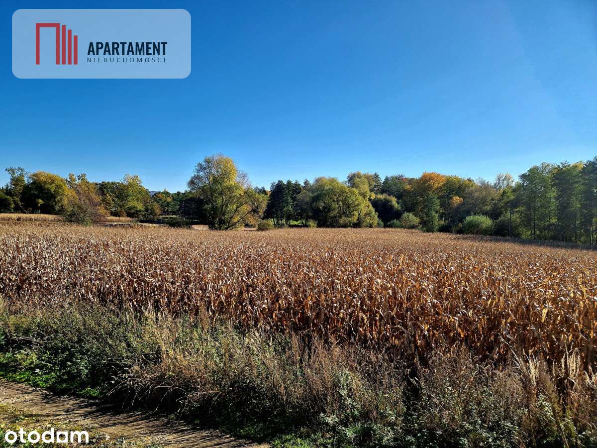 Działki budowlane Biay Kościół, gm. Strzelin - Pełny obrazek: 2/4