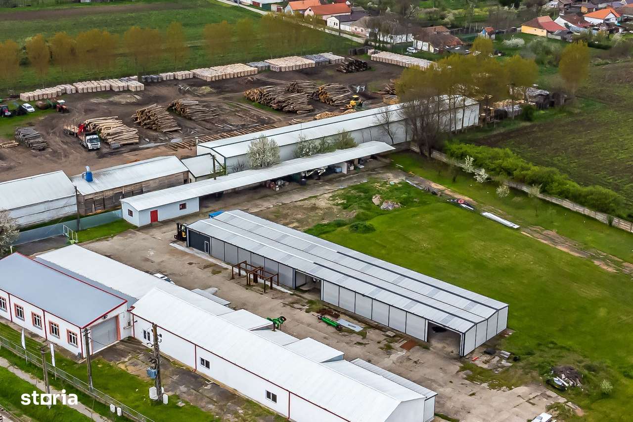 Hale depozitare/producție 2.000 mp si 10.000 mp teren în Pecica - Imagine principală: 2/17
